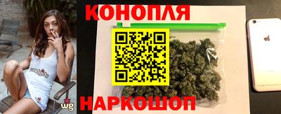 спиды Моздок